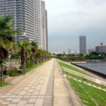 東京湾付近から見たスカイツリー